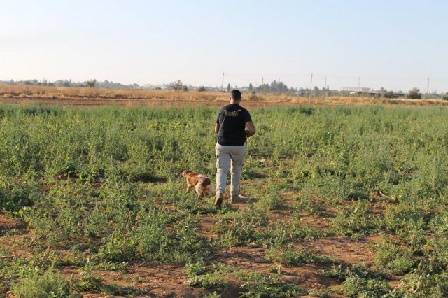 Αγωνες Α.Κ.Ι 11/6/2017